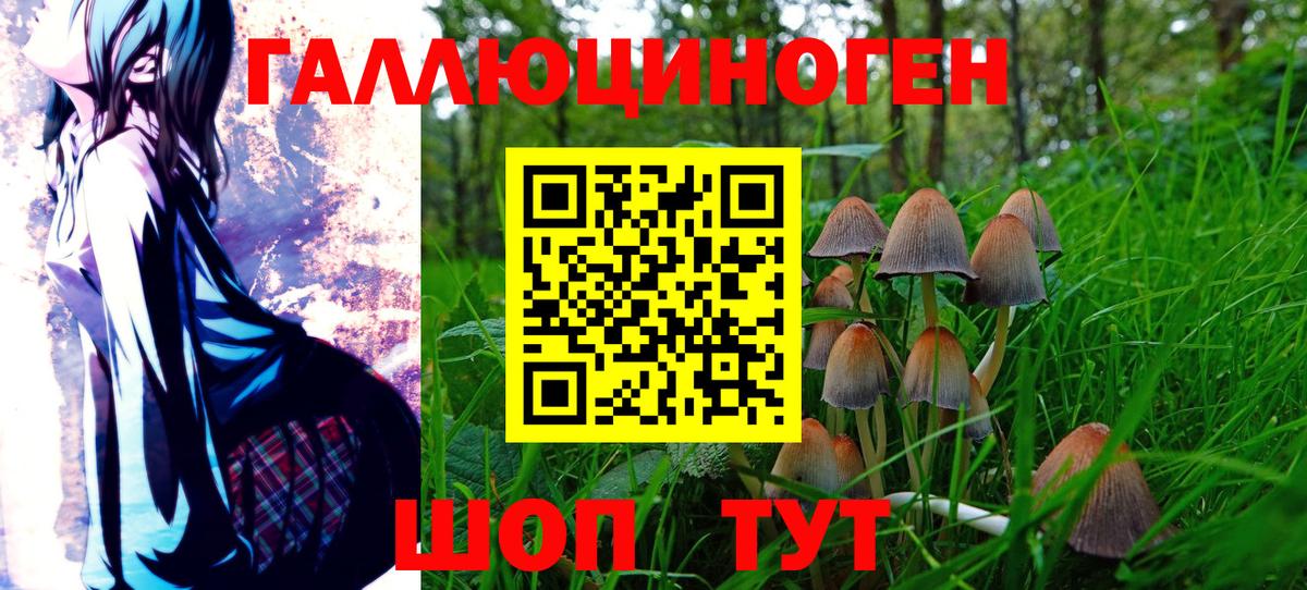 Галлюциногенные грибы Cubensis  Вход с VPN  Галлюциногенные грибы Psilocybine cubensis  Реж 