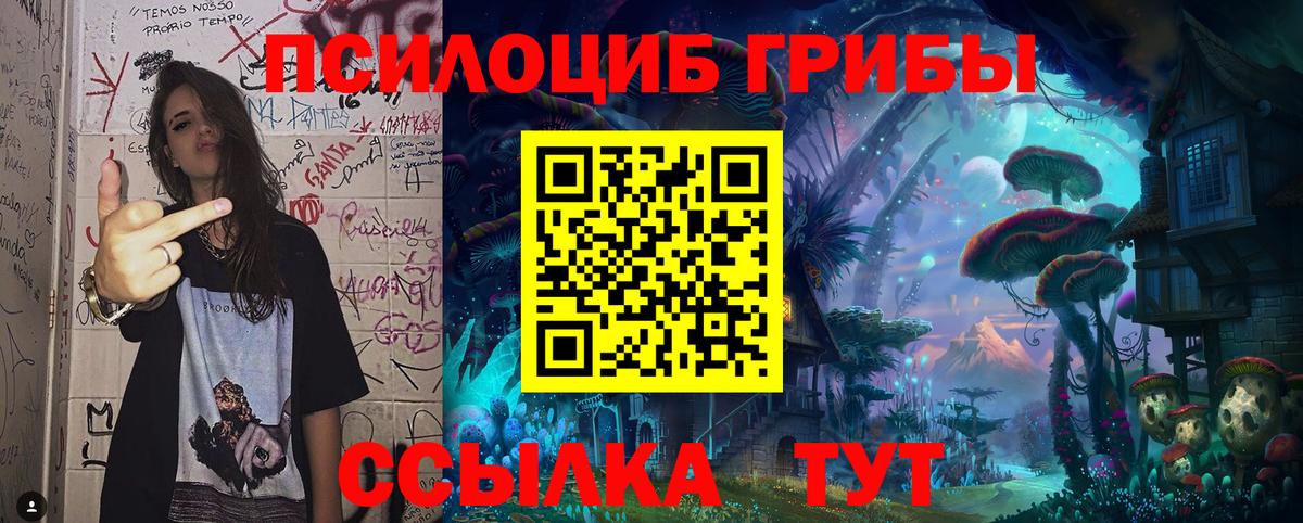 Галлюциногенные грибы мицелий Реж